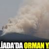 ﻿Heybeliada'da orman yangını