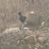 Uyuşturucu satıcıları yakalandı Uyuşturucu satıcıları yakalandı