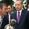 Video: Vatandaş Anlattı Erdoğan Şaştı Kaldı Video: Vatandaş Anlattı Erdoğan Şaştı Kaldı