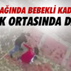 Martıların Ekmek Mücadelesi