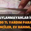 Onay çıkmayanlar için 1000 TL yardım parası: Öğrenciler, ev hanımları, işsizler, yeni mezunlar...! 2. defa alınabilir mi?