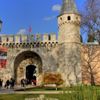 Topkapı Sarayı’nda katliam: Ağaçlar kesildi, askeri okul binası yıkıldı