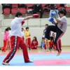 Sporcular, Okullar Arası Wushu Şampiyonasında Kıyasıya Mücadele Etti