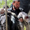 Suriye'de rejim güçleri Arbin beldesini bombaladı Suriye'de rejim güçleri Arbin beldesini bombaladı