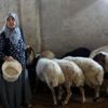 Yapamazsın diyenlere inat çiftlik kurdu: Kadınlar, asla hayallerinden vazgeçmemeli Yapamazsın diyenlere inat çiftlik kurdu: Kadınlar, asla hayallerinden vazgeçmemeli
