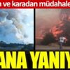 Adana'da Sarıçam ve Kozan'da orman yangını Adana'da Sarıçam ve Kozan'da orman yangını