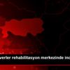 Hayvanseverler rehabilitasyon merkezinde incelemede ...