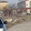Selahattin Demirtaş'ın kaldığı cezavinde yangın Selahattin Demirtaş'ın kaldığı cezavinde yangın