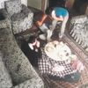 İstanbul Eyüp'te öğrenci servisi devrildi: 7 yaralı İstanbul Eyüp'te öğrenci servisi devrildi: 7 yaralı