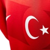 Milli Takım'da iki isim kadro dışı