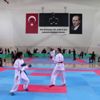 Erzincan da ANALİG Karate Grup Müsabakaları sona erdi Erzincan da ANALİG Karate Grup Müsabakaları sona erdi