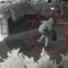 Dükkanın önündeki halıyı çaldılar Dükkanın önündeki halıyı çaldılar