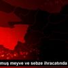 Dondurulmuş meyve ve sebze ihracatında artış Dondurulmuş meyve ve sebze ihracatında artış