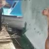 Ağlatan vicdansızlık! Bağlanıp, göle atılmış