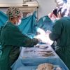 Hibrit ameliyathanede ilk operasyon Hibrit ameliyathanede ilk operasyon