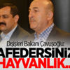 Dışişleri Bakanı Çavuşoğlu: Afedersiniz hayvanlık... Dışişleri Bakanı Çavuşoğlu: Afedersiniz hayvanlık...