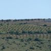 PKK/PYD Halep'te sivilleri vurdu: 1 ölü, 2 yaralı