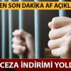 Af son dakika haberleri 15 Mayıs yeni gelişme var mı? MHP açıkladı af ne zaman gelecek?