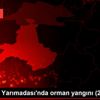 Hakkıbey Yarımadası nda orman yangını (2) Hakkıbey Yarımadası nda orman yangını (2)