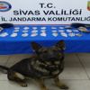 Ayakkabısının tabanından uyuşturucu çıktı Ayakkabısının tabanından uyuşturucu çıktı