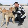 Sokak hayvanları için şehir şehir gezecek Sokak hayvanları için şehir şehir gezecek