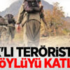 PKK'lı teröristler iki köylüyü katletti