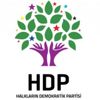 HDP Birecik İlçe Eşbaşkanına gözaltı