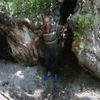 Define bulmak için 700 yıllık çınarı talan edip yaktılar Define bulmak için 700 yıllık çınarı talan edip yaktılar