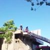 Mahsur kalan kediyi itfaiye ekipleri kurtardı