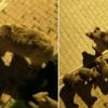 Enflasyon oranı açıklandı