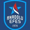 Efes'ten Ata'ya saygı Efes'ten Ata'ya saygı