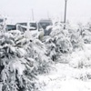 Ardahan -10 derece Ardahan -10 derece