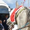 Cumhurbaşkanı Erdoğan’ı atlı ciritçiler karşıladı Cumhurbaşkanı Erdoğan’ı atlı ciritçiler karşıladı