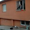 Kendisi dışarı çıkamayınca beslediği kediler gelmeye ...