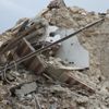 Bursa’daki deprem İstanbul depremini tetikler mi? Bursa’daki deprem İstanbul depremini tetikler mi?