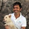 Aslan Yogi Canlandı Aslan Yogi Canlandı