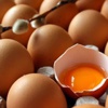 Yumurta zarı yaraları geçiriyor Yumurta zarı yaraları geçiriyor