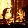 Burning Man Festivali'nde yanarak öldü