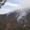 Kahramanmaraş’taki yangının sebebi: Yıldırım Kahramanmaraş’taki yangının sebebi: Yıldırım