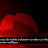 Antalya da yaralı halde bulunan caretta caretta Muğla ... Antalya da yaralı halde bulunan caretta caretta Muğla ...