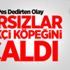 Pes Dedirten Olay! Pes Dedirten Olay!