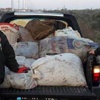 Balıkesir'de zeytin operasyonu Balıkesir'de zeytin operasyonu