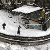 Türkiye ve Nuri Bilge Ceylan...