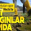 İklim değişikliğinin sonuçları! Kolera tifo sıtma artacak İklim değişikliğinin sonuçları! Kolera tifo sıtma artacak