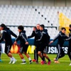 Kartal ava hazır Kartal ava hazır