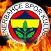 Millilere tünelde özel tebrik Millilere tünelde özel tebrik