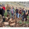 Gençler 50 Çam Fidanını Toprakla Buluşturdu
