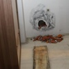 Kuyumcu soygunu 'kolona' takıldı Kuyumcu soygunu 'kolona' takıldı