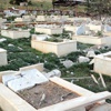 Tunceli operasyonu sona erdi Tunceli operasyonu sona erdi