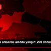 Malkara da ormanlık alanda yangın: 200 dönümlük alan ... Malkara da ormanlık alanda yangın: 200 dönümlük alan ...